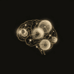 The Educator's Mind Toolkit